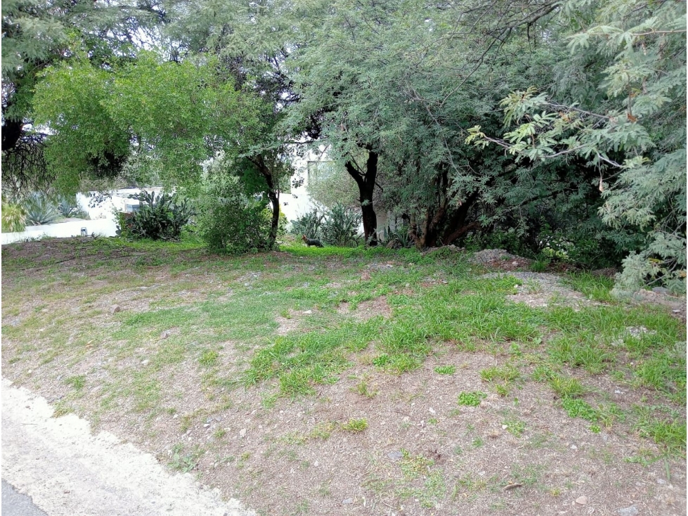 TERRENO EN VENTA LA CALERA CINCO LOMAS - 3