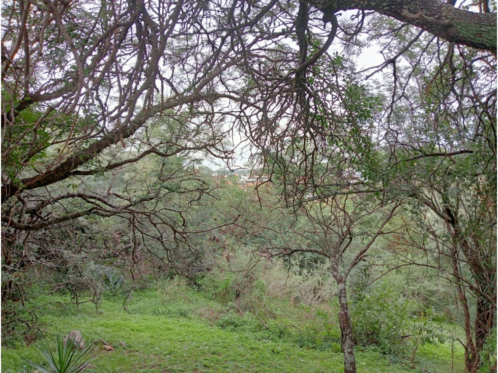 TERRENO EN VENTA LA CALERA CINCO LOMAS - 5