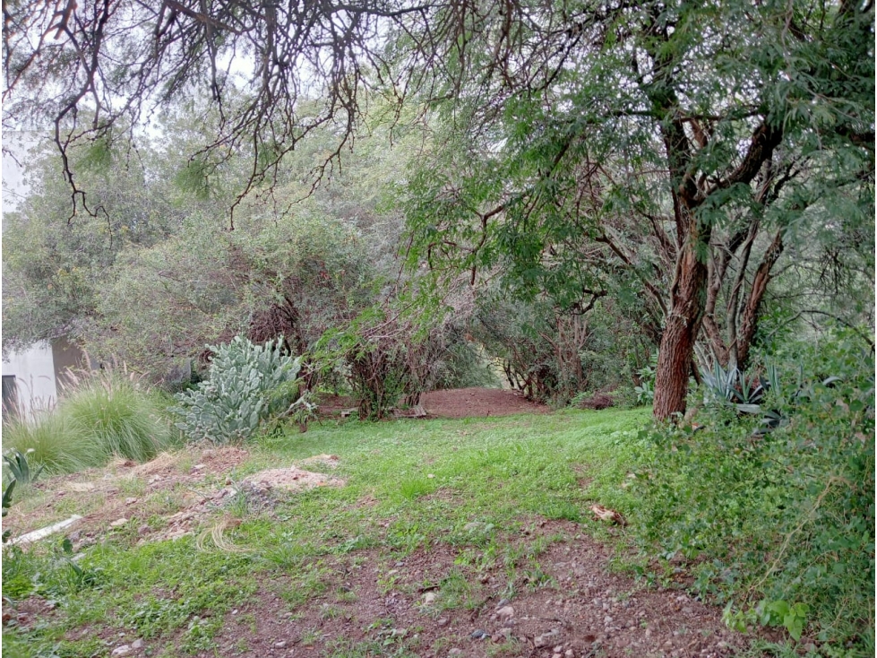 TERRENO EN VENTA LA CALERA CINCO LOMAS - 6
