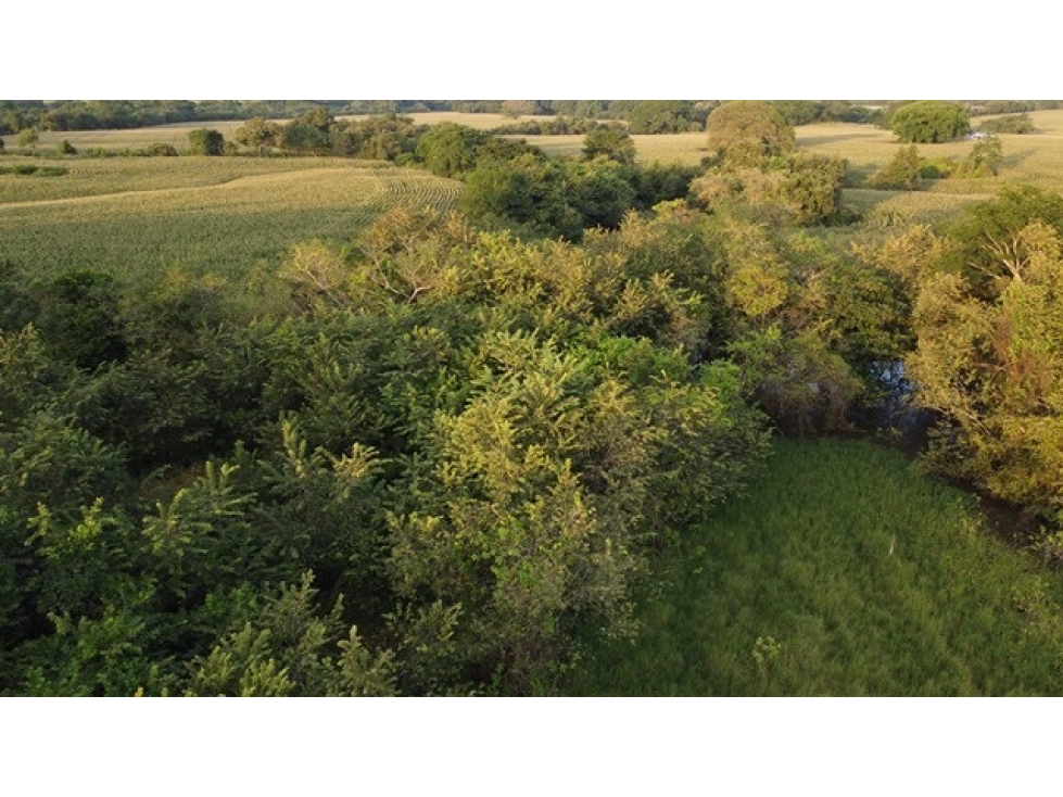 VENTA DE TERRENO COMERCIAL EN LAS TABLAS - 2
