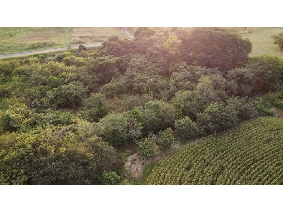 VENTA DE TERRENO COMERCIAL EN LAS TABLAS - 5