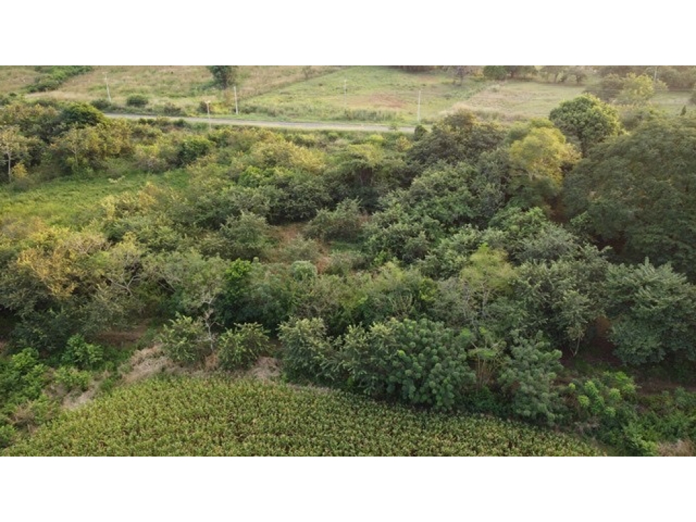 VENTA DE TERRENO COMERCIAL EN LAS TABLAS - 6
