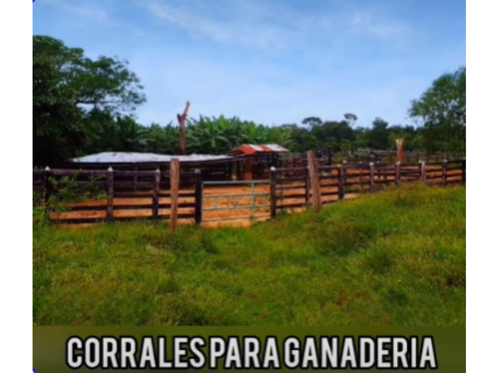 HACIENDA DE 2.000 HECTAREAS EN VENTA, PUERTO LOPEZ META - 3