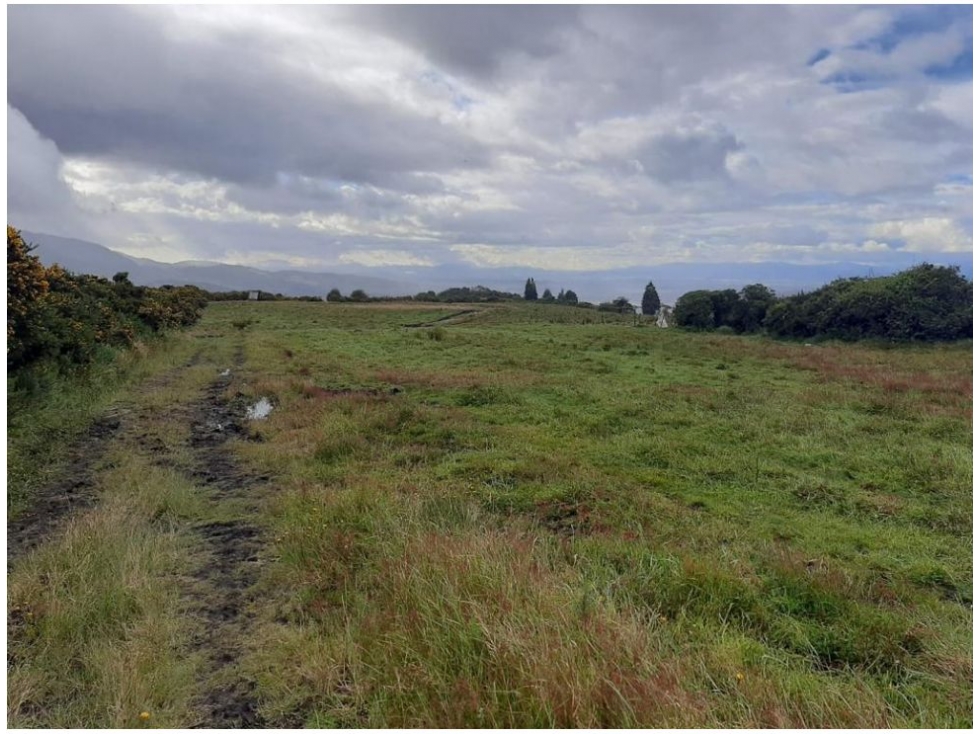 FINCA DE 610 HECTAREAS EN VENTA, PUERTO LOPEZ META - 2