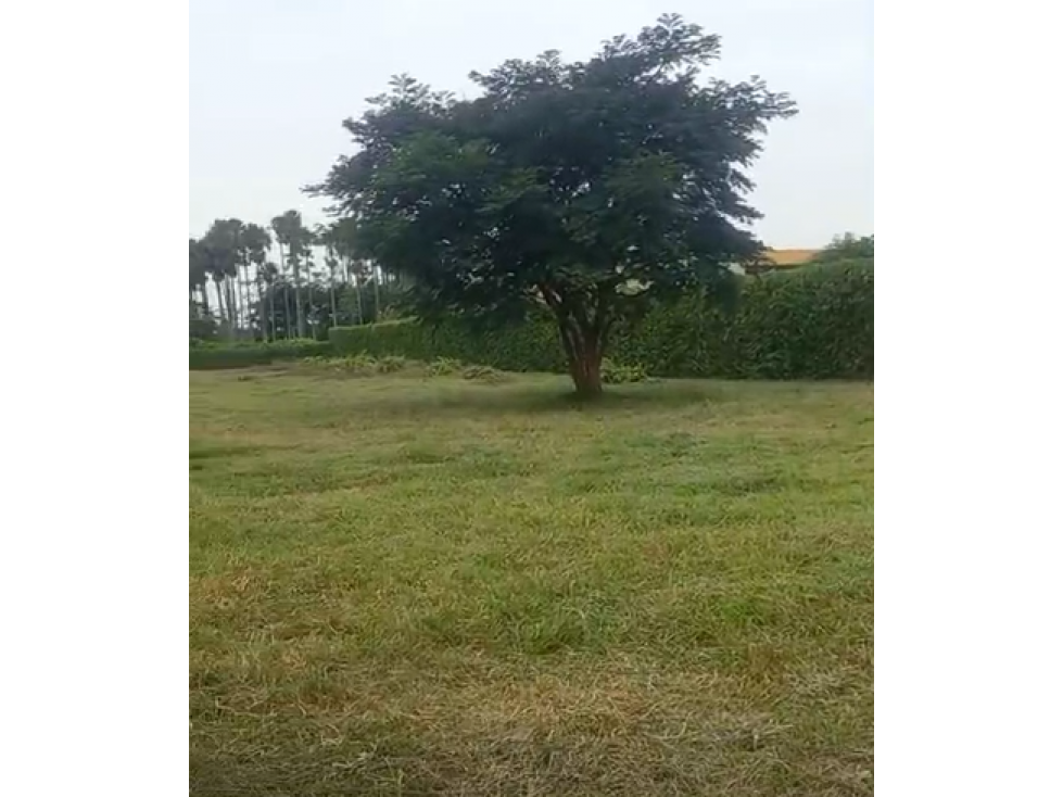 LOTE DE 2.500 M2 EN VENTA, APIAY, VIA PUERTO LOPEZ - 2