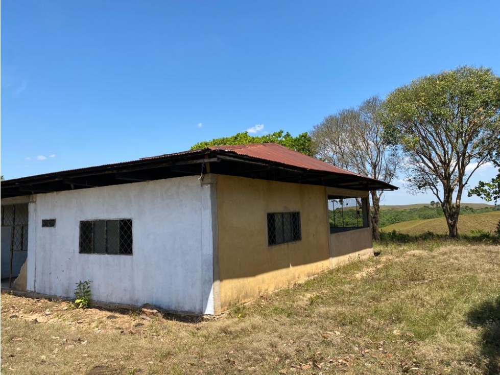 FINCA DE 994 HECTAREAS EN VENTA, PUERTO LOPEZ META - 2