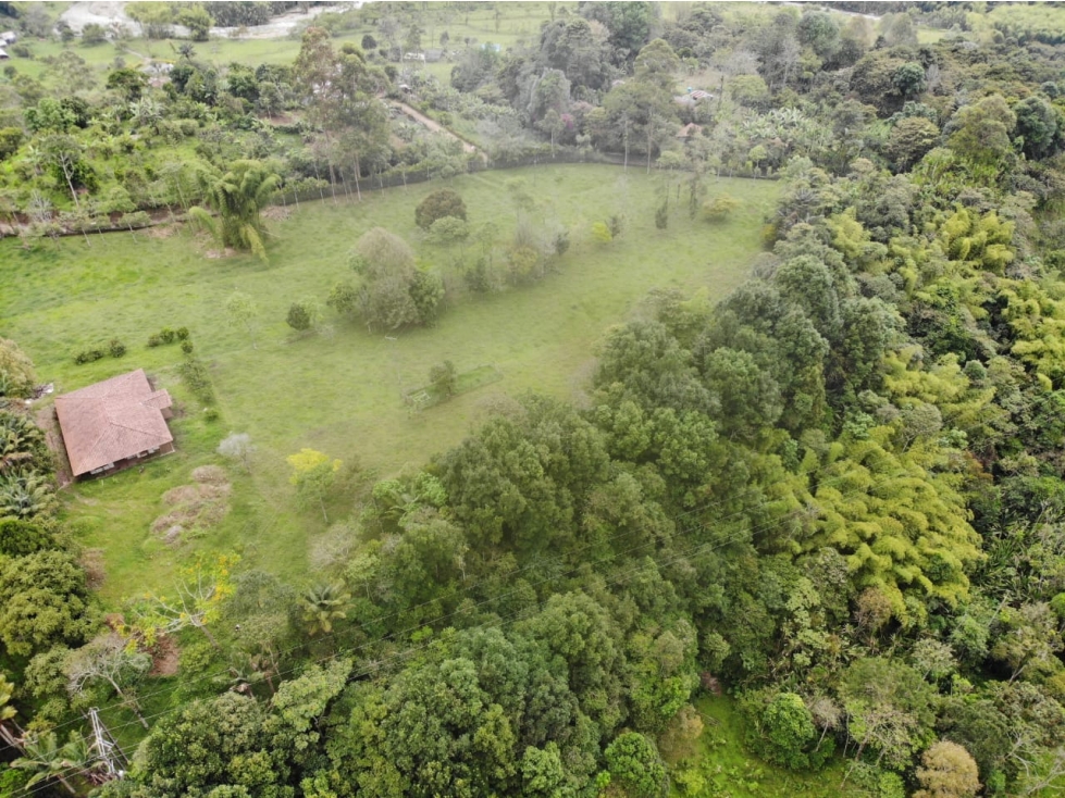 OPORTUNIDAD DE INVERSION, FINCA EN VENTA, SALENTO QUINDIO - 2