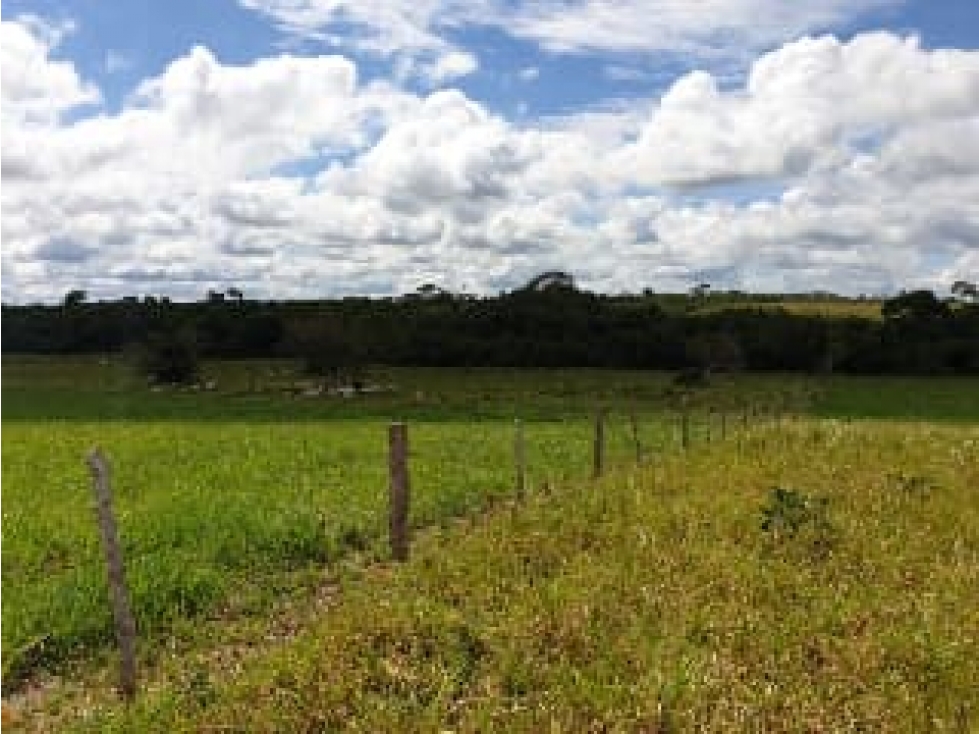 FINCA DE 80.000 HECTAREAS EN VENTA, PUERTO GAITAN META - 2