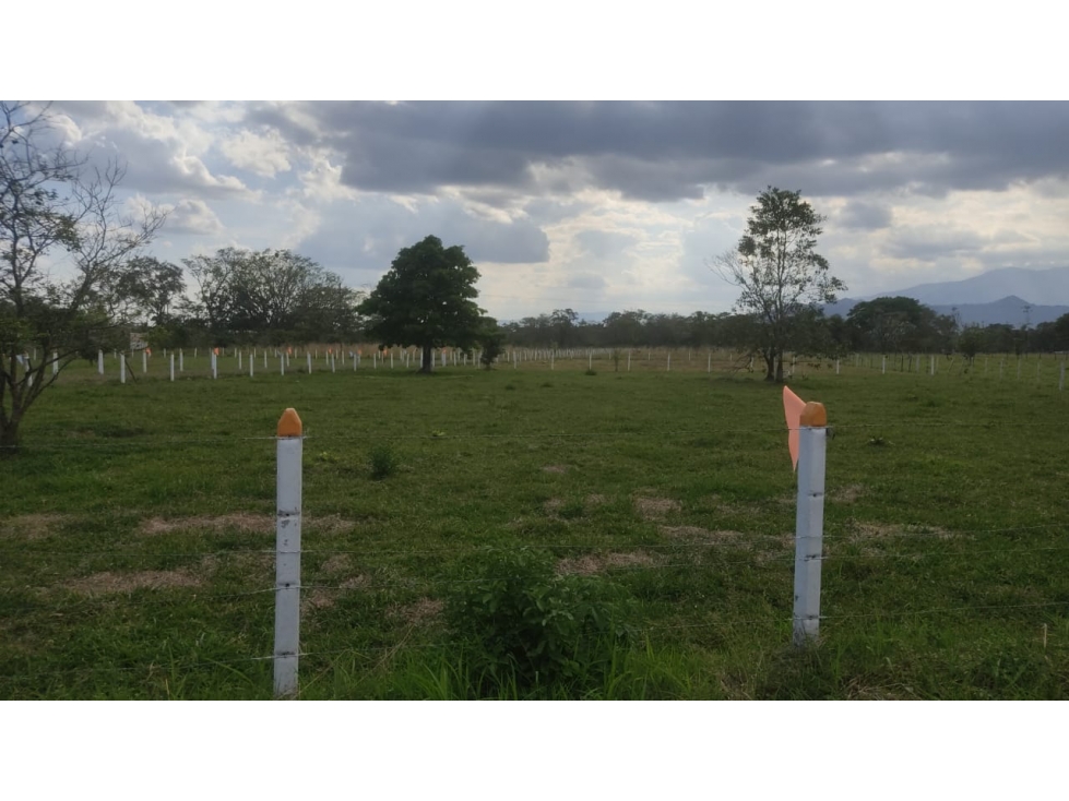 LOTE RURAL EN VENTA - VIA RESTREPO - 3
