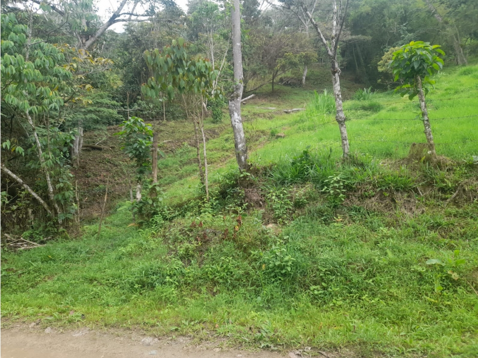 LOTE EN VENTA, SILVANIA, EXCELENTE OPORTUNIDAD - 2