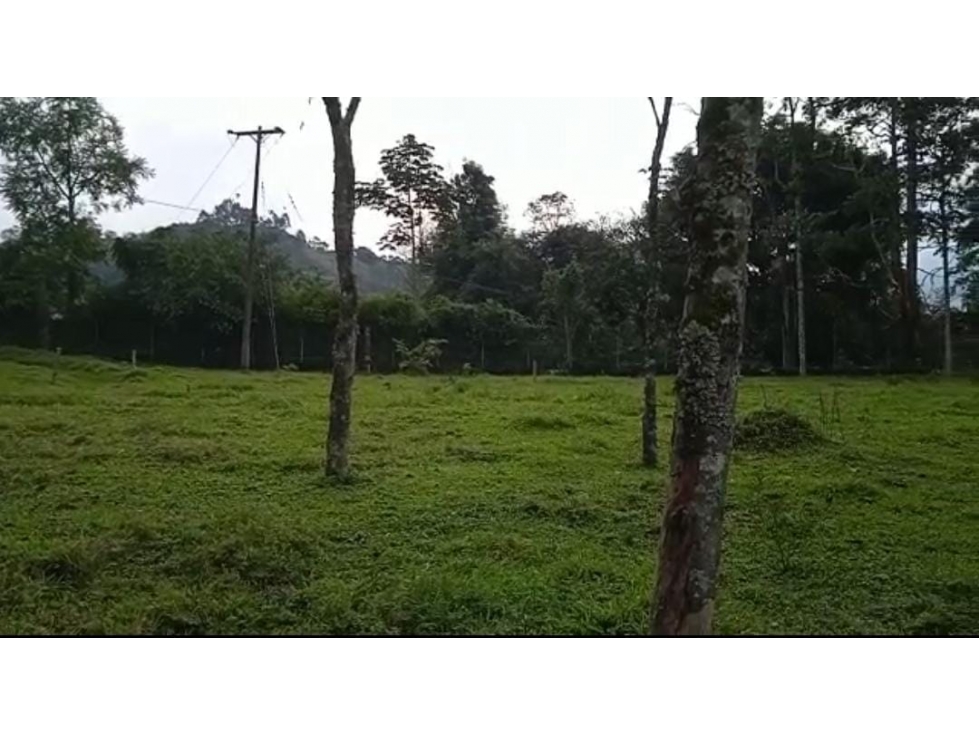 OPORTUNIDAD DE INVERSION, LOTE EN VENTA, SALENTO QUINDIO - 4