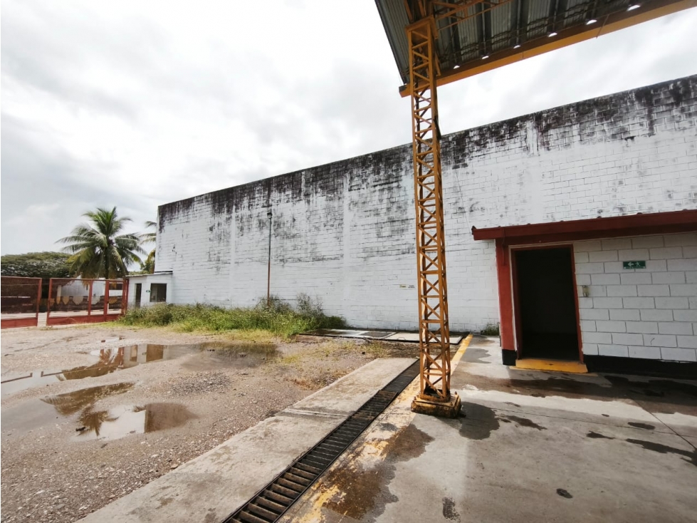 BODEGA EN ARRIENDO ZONA INDUSTRIAL NEIVA - 3