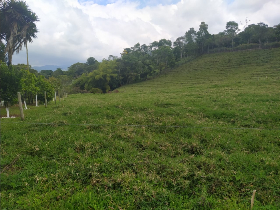 OPORTUNIDAD DE INVERSION, FINCA EN VENTA, SALENTO QUINDIO - 6