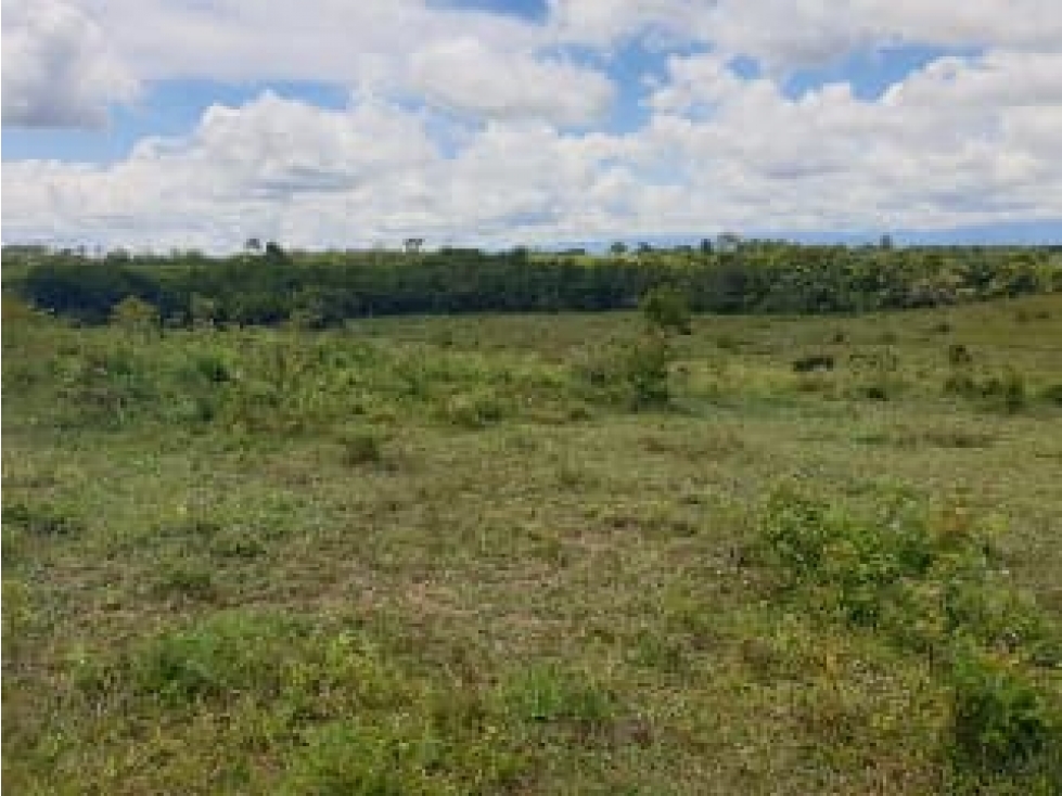 FINCA DE 80.000 HECTAREAS EN VENTA, PUERTO GAITAN META - 6