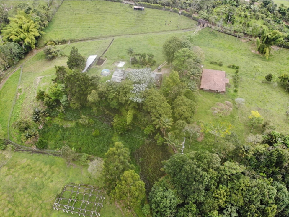 OPORTUNIDAD DE INVERSION, FINCA EN VENTA, SALENTO QUINDIO - 4