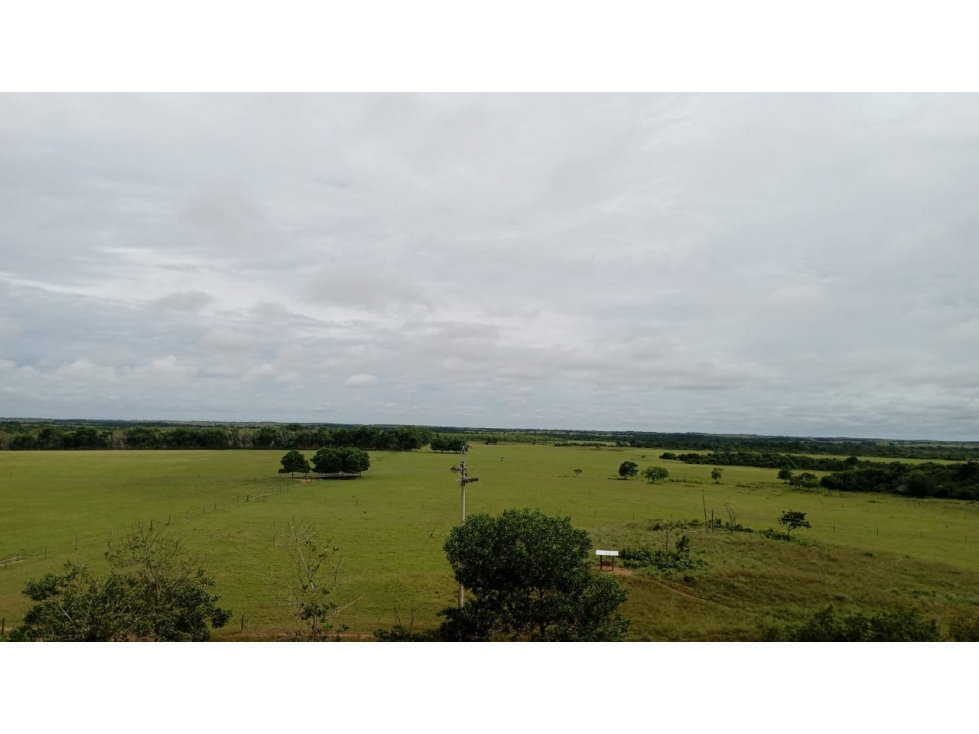 FINCA GANADERA EN VENTA, PUERTO GAITAN META, NEGOCIABLE - 3
