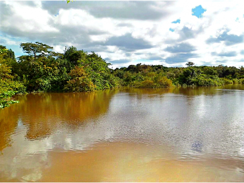 FINCA GANADERA EN VENTA, PUERTO GAITAN META - 6