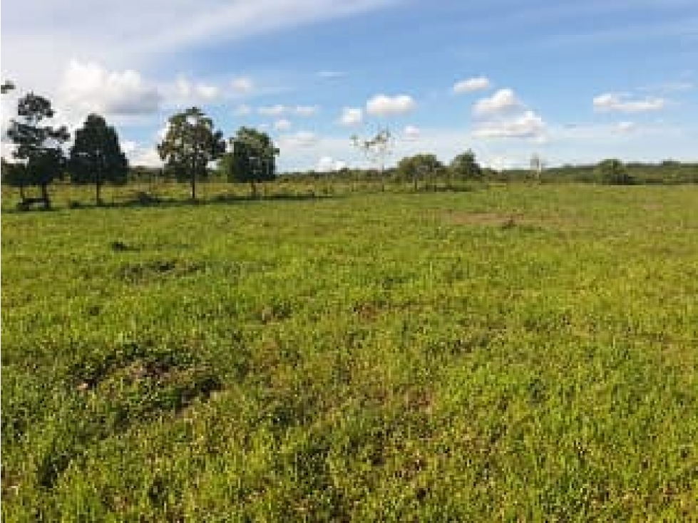 FINCA DE 80.000 HECTAREAS EN VENTA, PUERTO GAITAN META - 3
