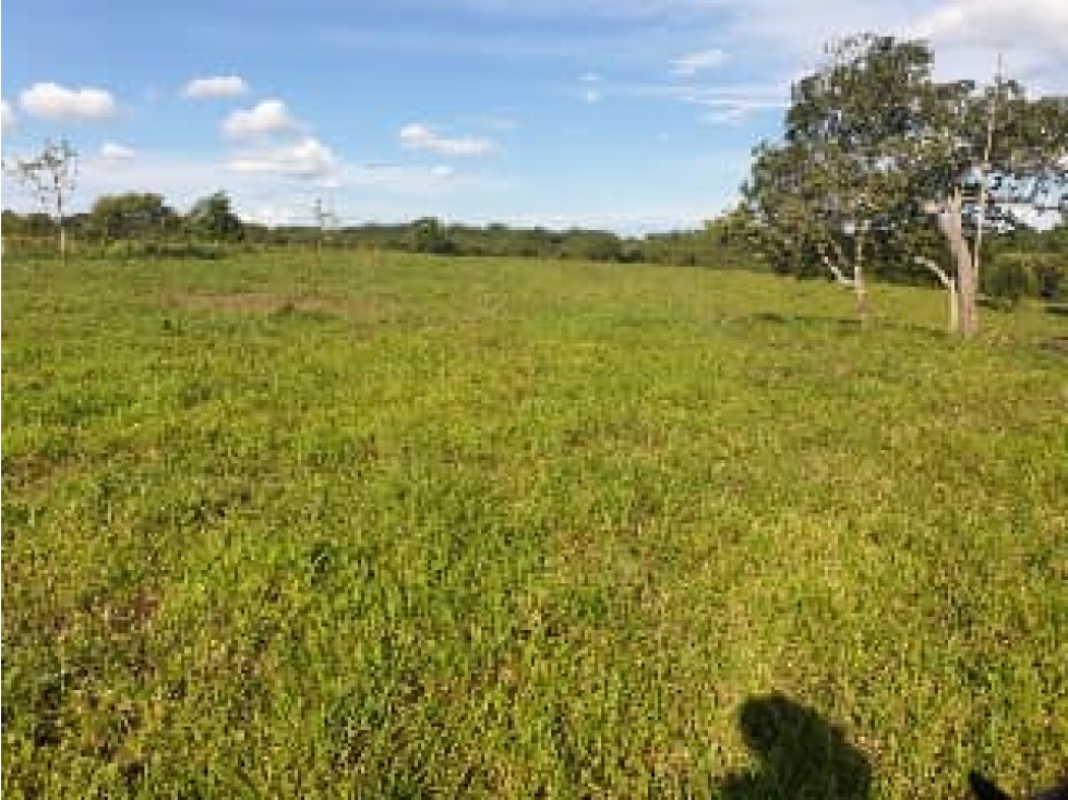 FINCA DE 80.000 HECTAREAS EN VENTA, PUERTO GAITAN META - 4