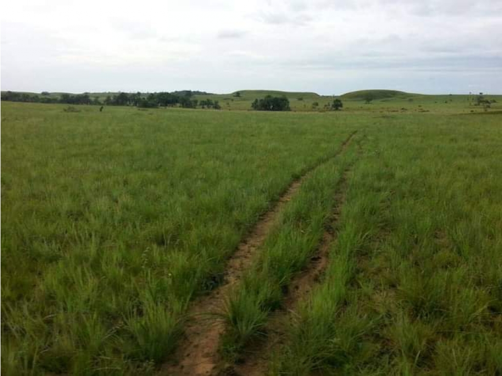 FINCA DE 34.488 HECTAREAS EN VENTA, PUERTO GAITAN META - 3