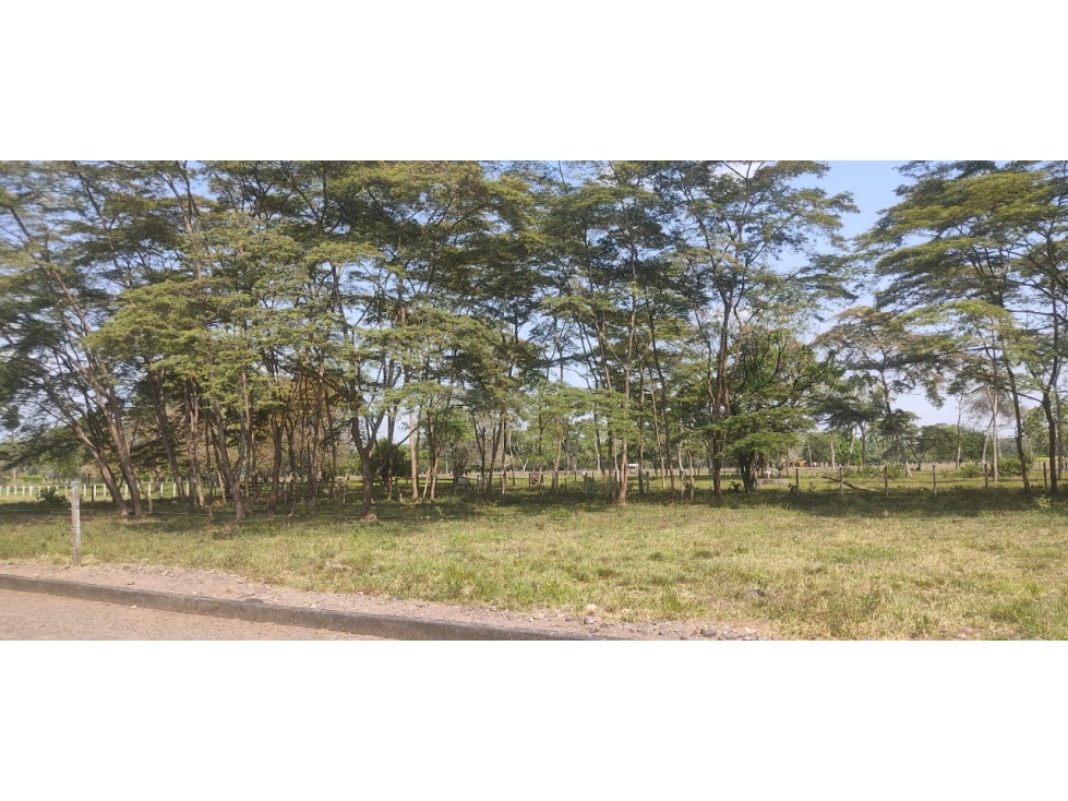 EXCELENTES LOTES RURALES - EN VENTA - VIA RESTREPO - 6