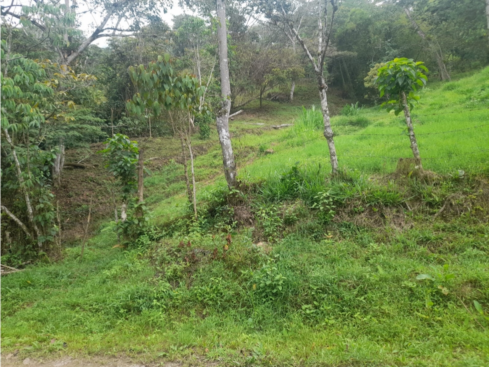 LOTE EN VENTA, SILVANIA, EXCELENTE OPORTUNIDAD - 3