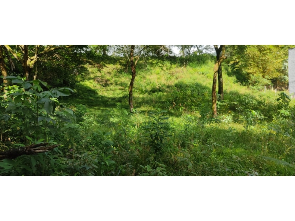 LOTE URBANO EN VENTA -VILLAVICENCIO - 4