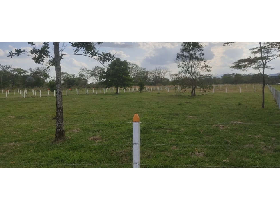 LOTE RURAL EN VENTA - VIA RESTREPO - 2