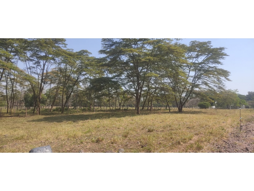 EXCELENTES LOTES RURALES - EN VENTA - VIA RESTREPO - 2
