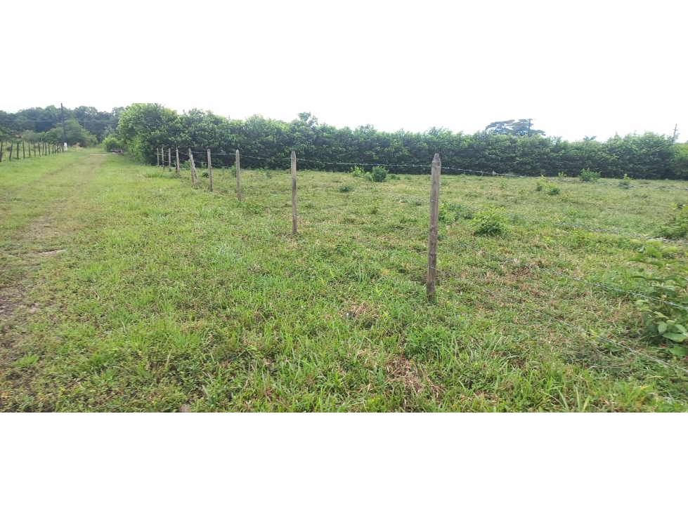 LOTE EN VENTA, SECTOR APIAY, VIA PUERTO LOPEZ - 1