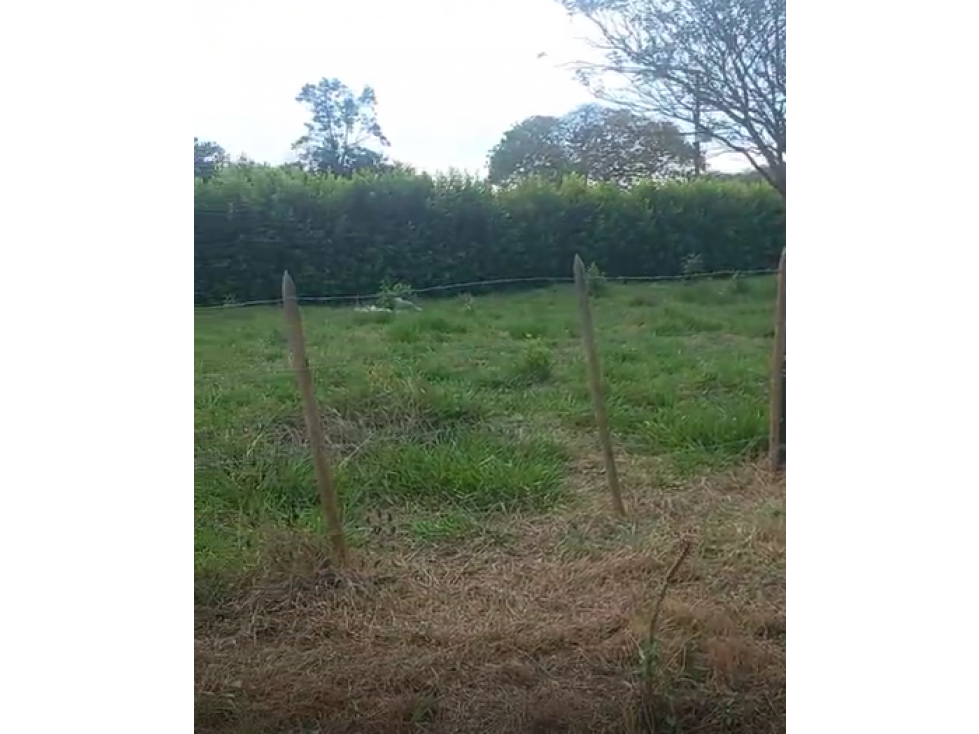 LOTE ESQUINERO EN VENTA, APIAY, VIA PUERTO LOPEZ - 3