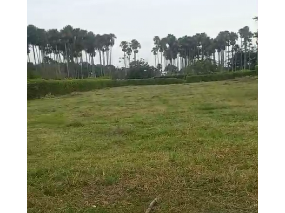 LOTE DE 2.500 M2 EN VENTA, APIAY, VIA PUERTO LOPEZ - 1