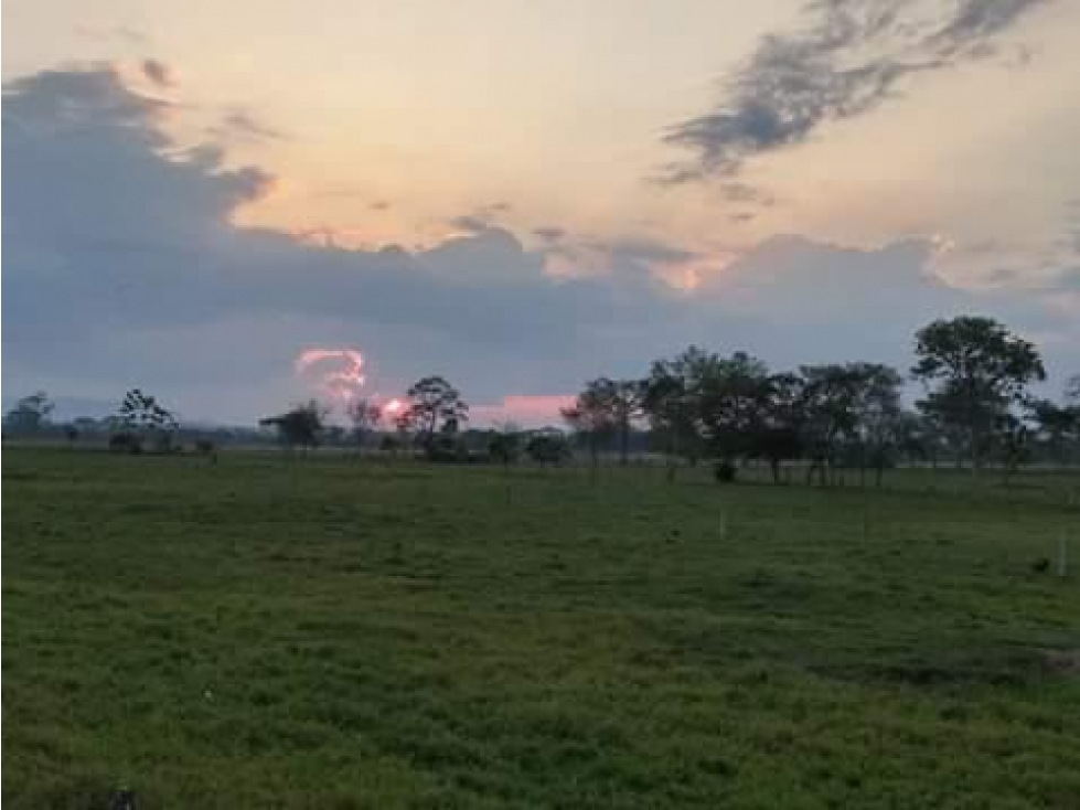 FINCA DE 34.488 HECTAREAS EN VENTA, PUERTO GAITAN META - 4
