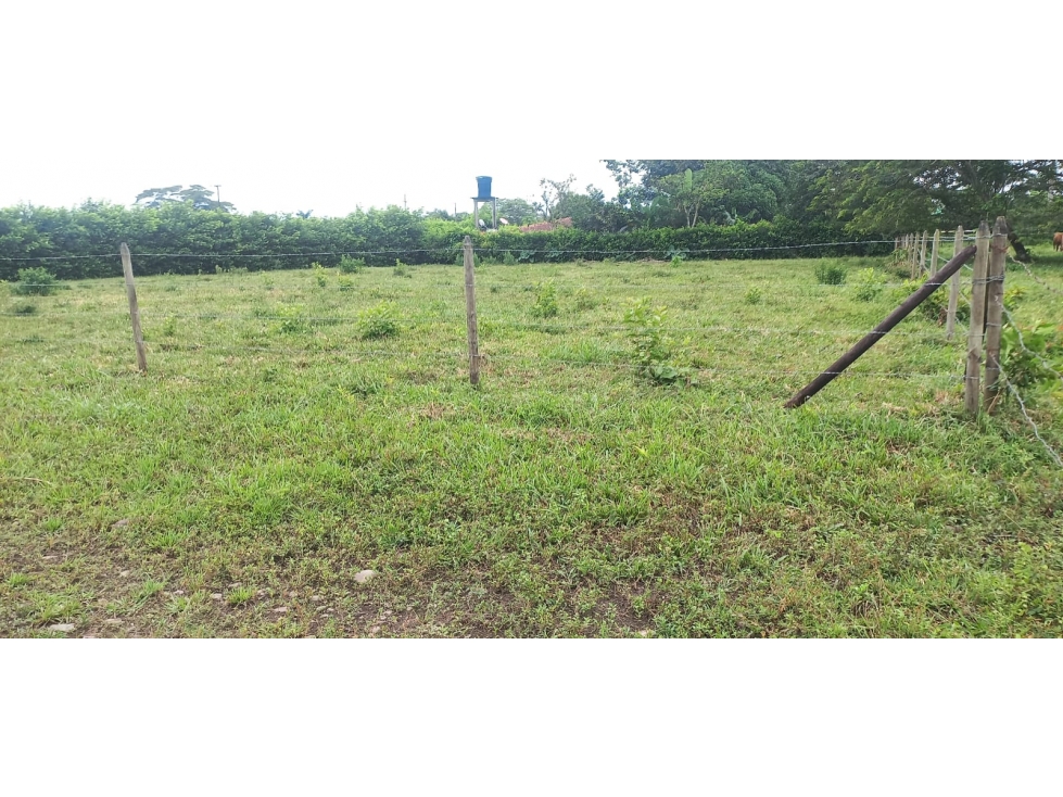 LOTE EN VENTA, SECTOR APIAY, VIA PUERTO LOPEZ - 2