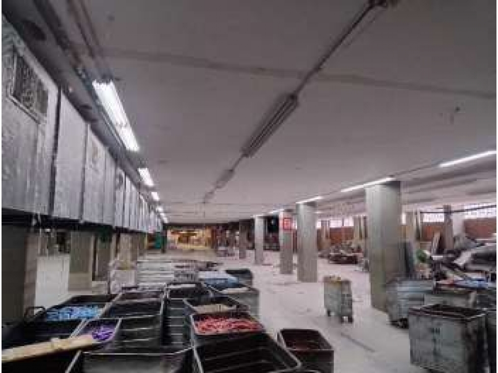 BODEGA EN ARRIENDO, MONTEVIDEO, 500 KVA — foto 4