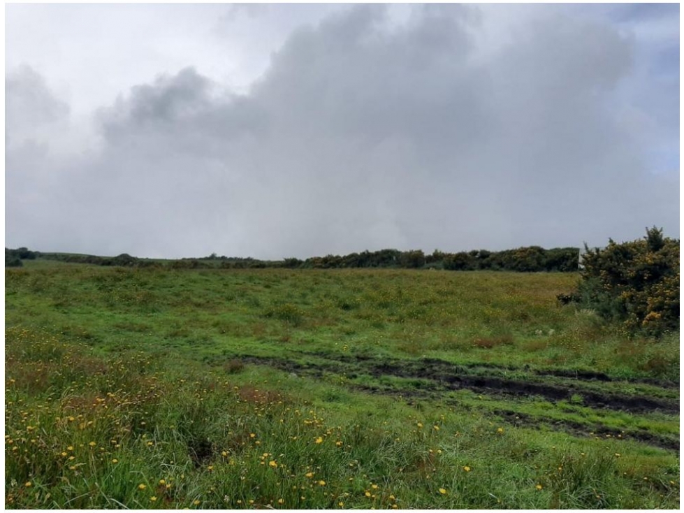 FINCA DE 610 HECTAREAS EN VENTA, PUERTO LOPEZ META - 1