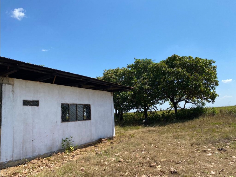 FINCA DE 994 HECTAREAS EN VENTA, PUERTO LOPEZ META - 3