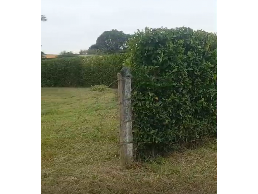 LOTE DE 2.500 M2 EN VENTA, APIAY, VIA PUERTO LOPEZ - 5