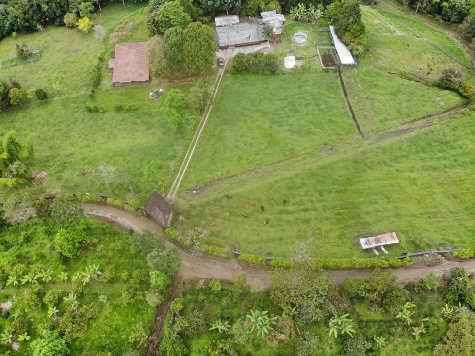OPORTUNIDAD DE INVERSION, FINCA EN VENTA, SALENTO QUINDIO - 5