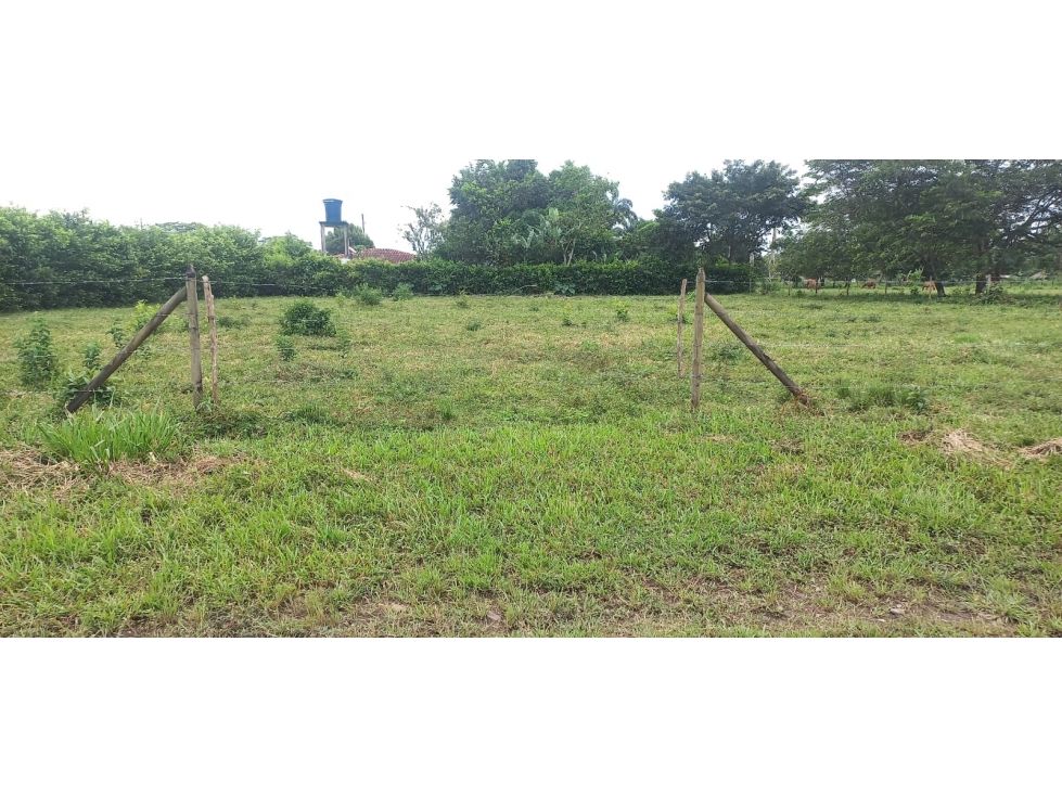 LOTE EN VENTA, SECTOR APIAY, VIA PUERTO LOPEZ - 3