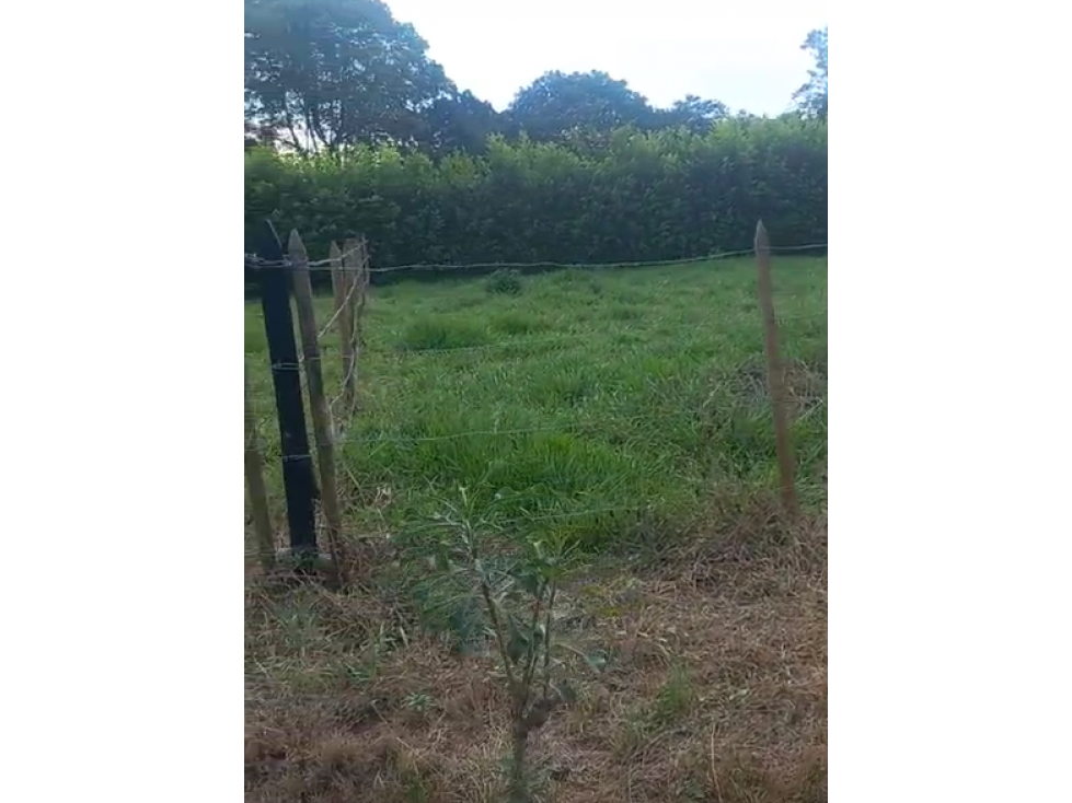 LOTE ESQUINERO EN VENTA, APIAY, VIA PUERTO LOPEZ - 4