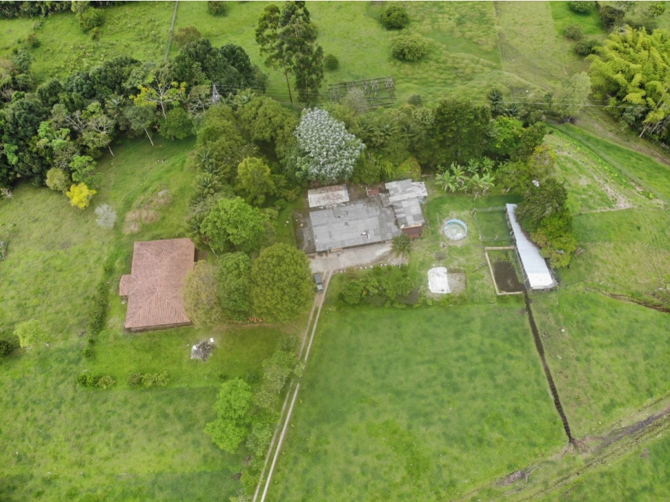 OPORTUNIDAD DE INVERSION, FINCA EN VENTA, SALENTO QUINDIO - 3