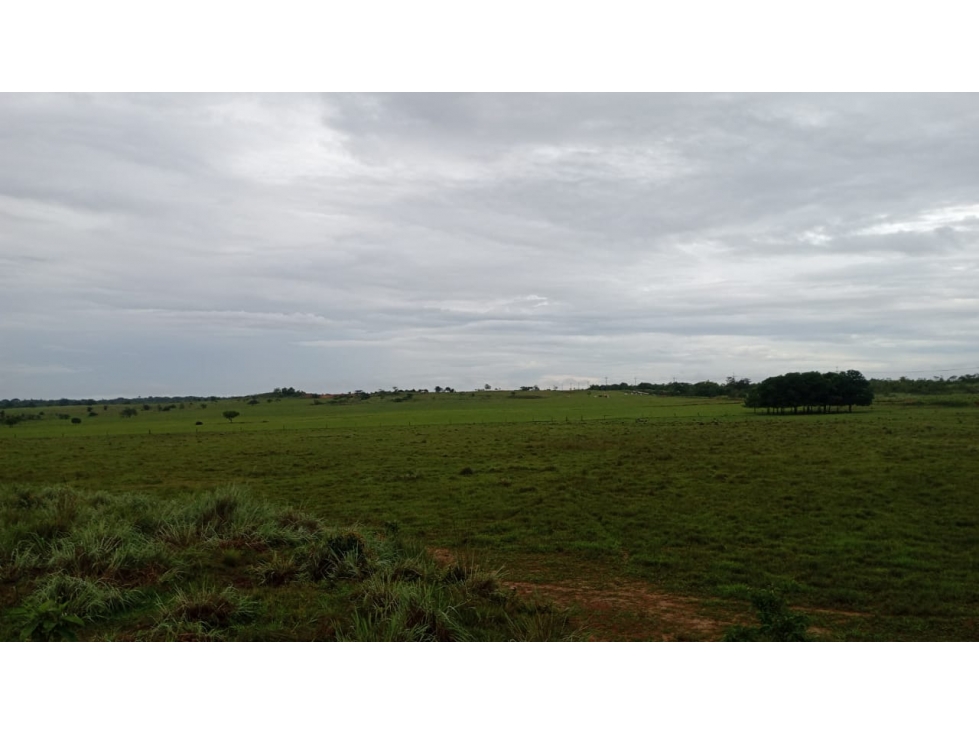 FINCA GANADERA EN VENTA, PUERTO GAITAN META, NEGOCIABLE - 2