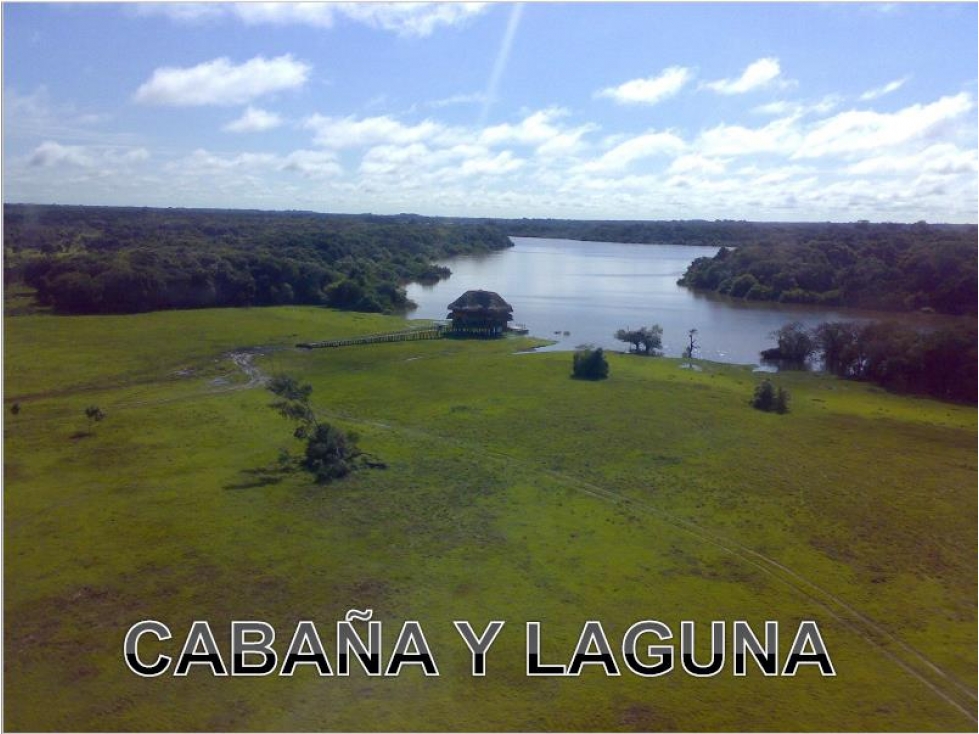 FINCA EN VENTA, OROCUE CASANARE, NEGOCIABLE - 6