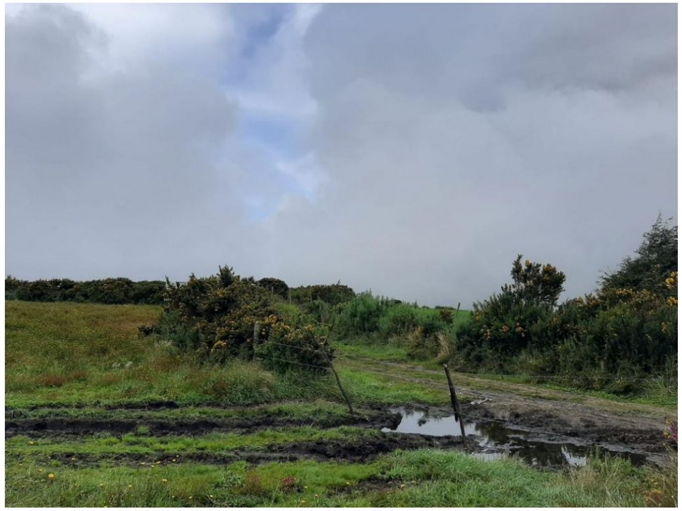 FINCA DE 610 HECTAREAS EN VENTA, PUERTO LOPEZ META - 3