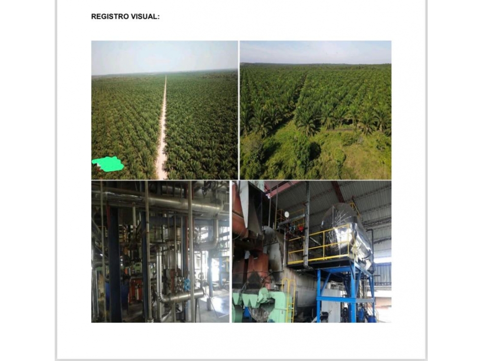 FINCA PALMERA EN VENTA, VIA PUERTO GAITAN - RUBIALES - 3