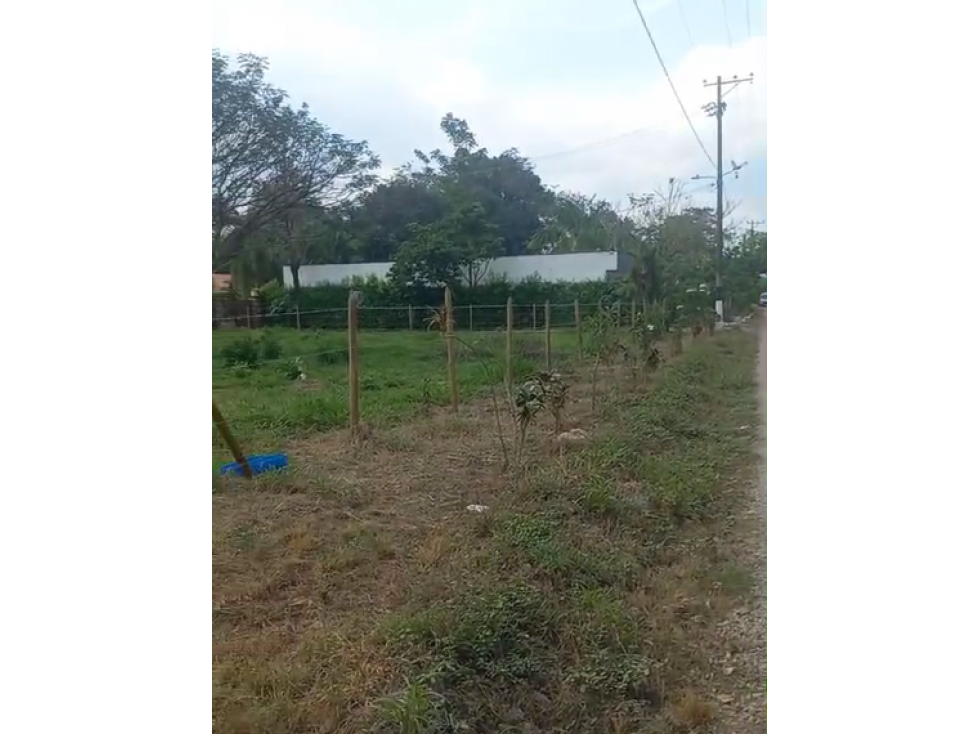 LOTE ESQUINERO EN VENTA, APIAY, VIA PUERTO LOPEZ - 2