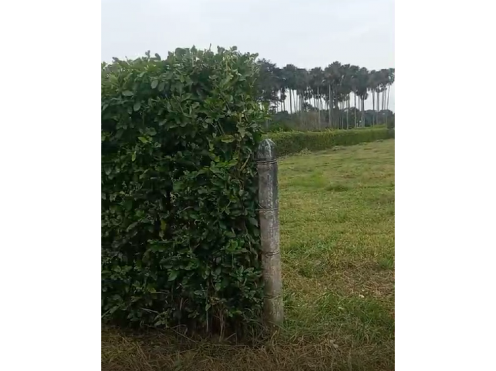 LOTE DE 2.500 M2 EN VENTA, APIAY, VIA PUERTO LOPEZ - 3