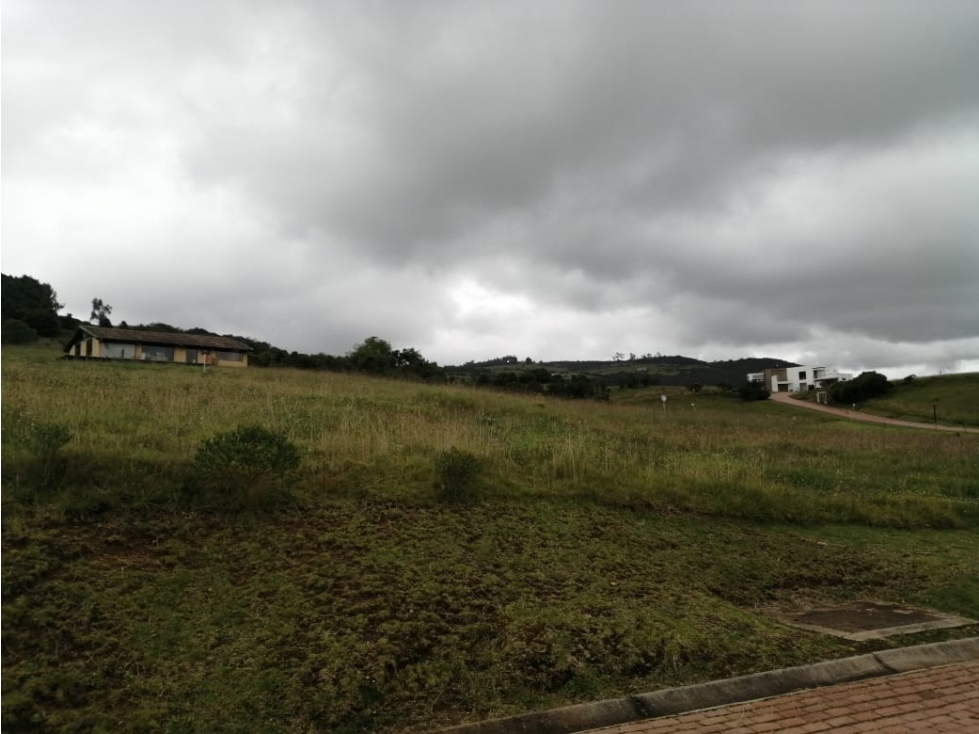 LOTE SOPÓ CONJUNTO LA MOLINA - 2