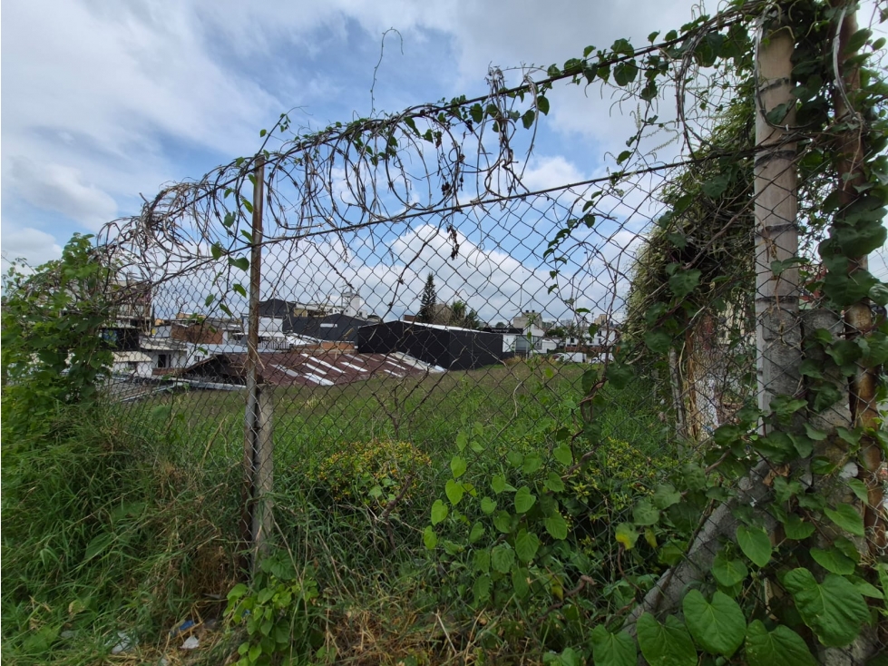 LOTE EN VENTA EN ARMENIA — foto 3